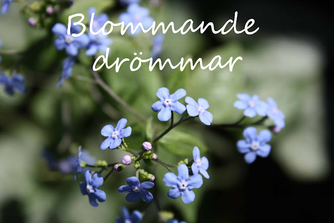 Blommande drömmar