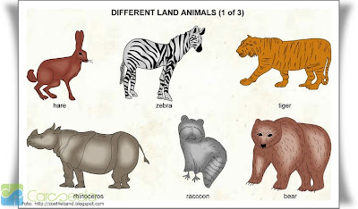 Gambar hewan dalam bahasa inggris - Sepertiga.com