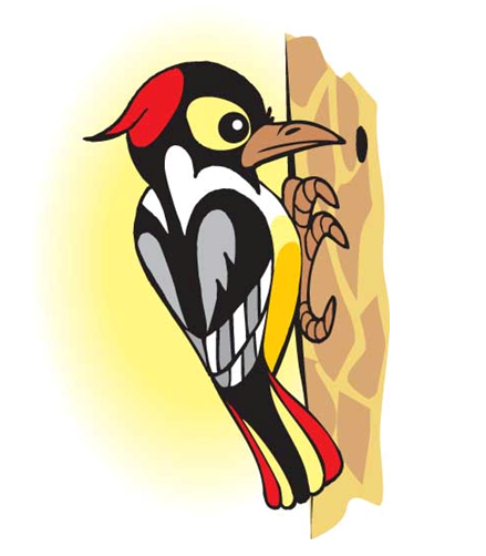 Зображення