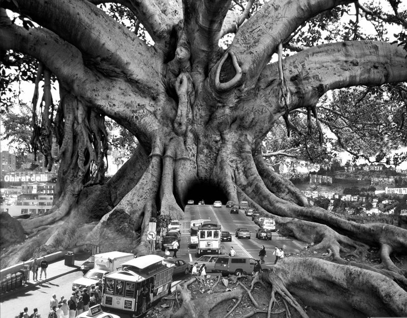 Tourist Trap by Thomas Barbèy Tourist Trap by Thomas Barbèy