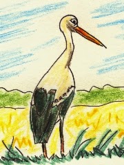 Dessin de Renaud Bouret
