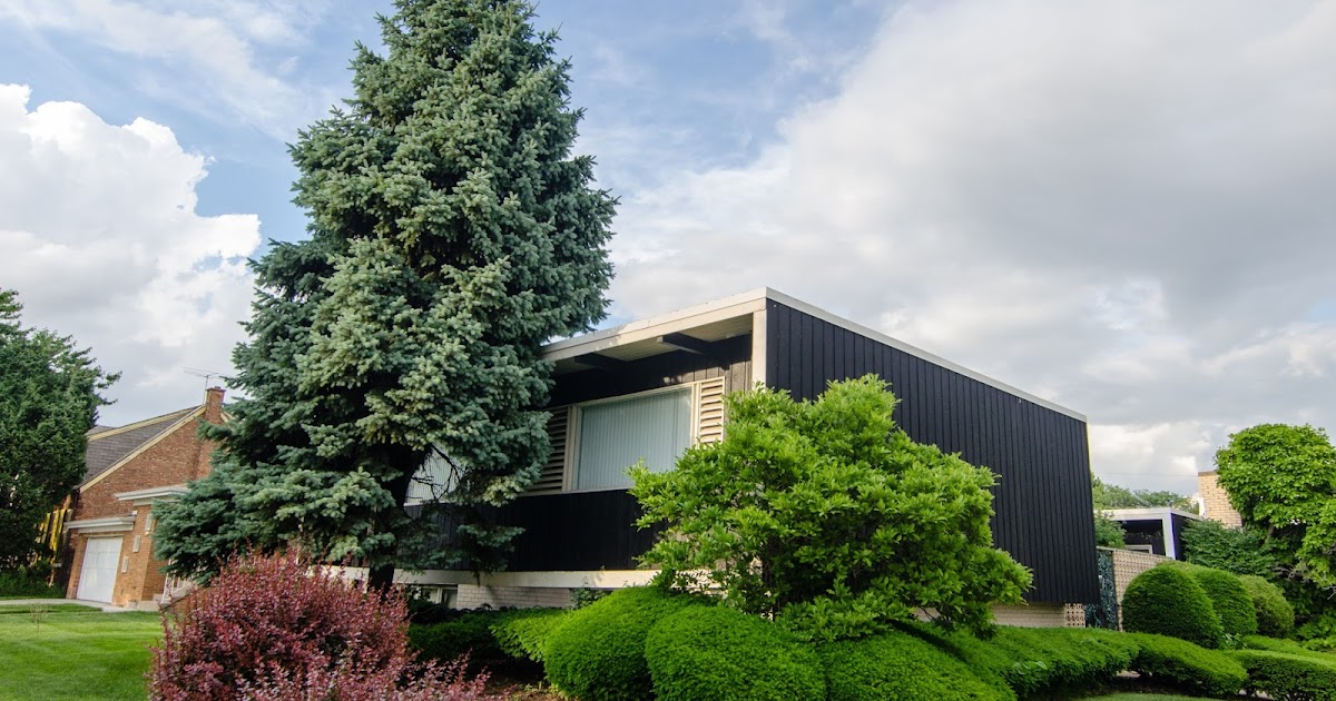 The Sixth Ward Midcentury modern homes in Chatham