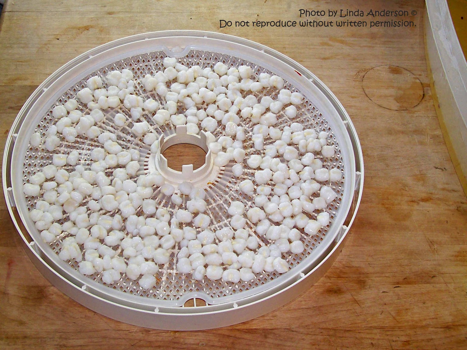 Dehydrating Way Beyond Jerky Dehydrated Hominy