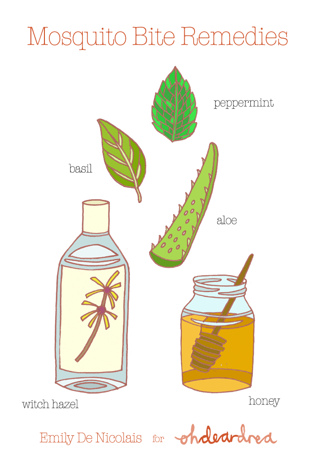 Simple Natural Living Mosquito Bite Remedies ohdeardrea Bloglovin’