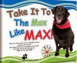 Take It To The Max Like Max!