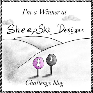 I won at Sheepski Designs