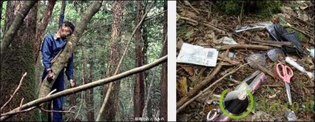 Aokigahara, Japan Aokigahara, Japan