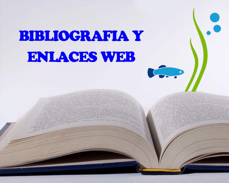 BIBLIOGRAFIA Y ENLACES WEBS