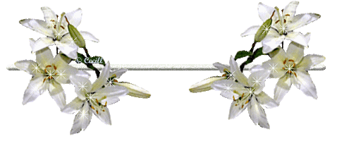 Gif flores blancas - Imagui