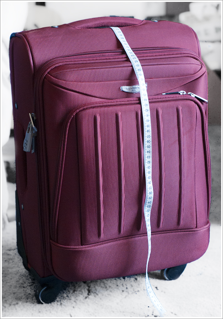 22in x 18in x 10in luggage