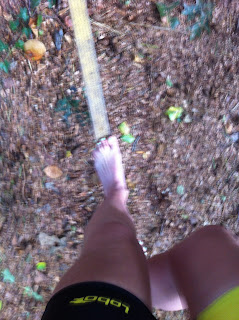 IMG 1228 - geen-categorie - En, lukt het een beetje?