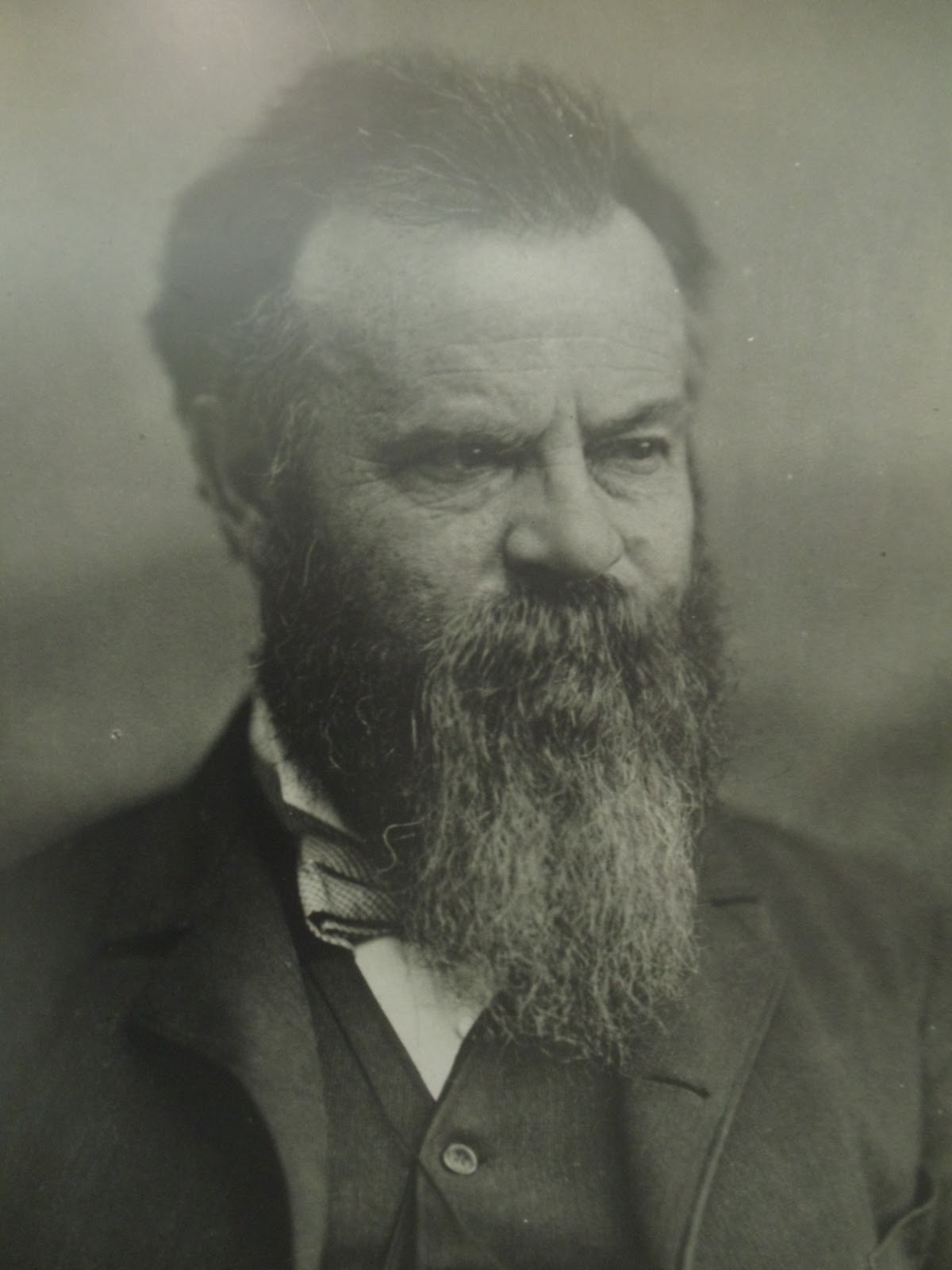 RVAGOGO John Wesley Powell a Determined Onearmed Man