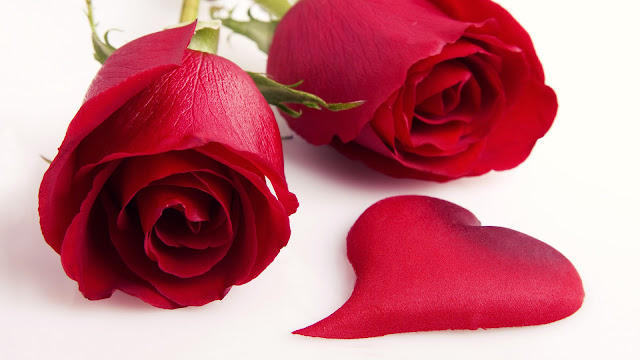 Te regalo una rosa - Página 4 Fondo_hd_169_rosas_san_valentin+-+fondowallpaper.blogspot.com