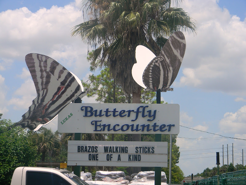The "Unknown" Florida Lukas Nursery/Butterfly Encounter Oviedo, FL