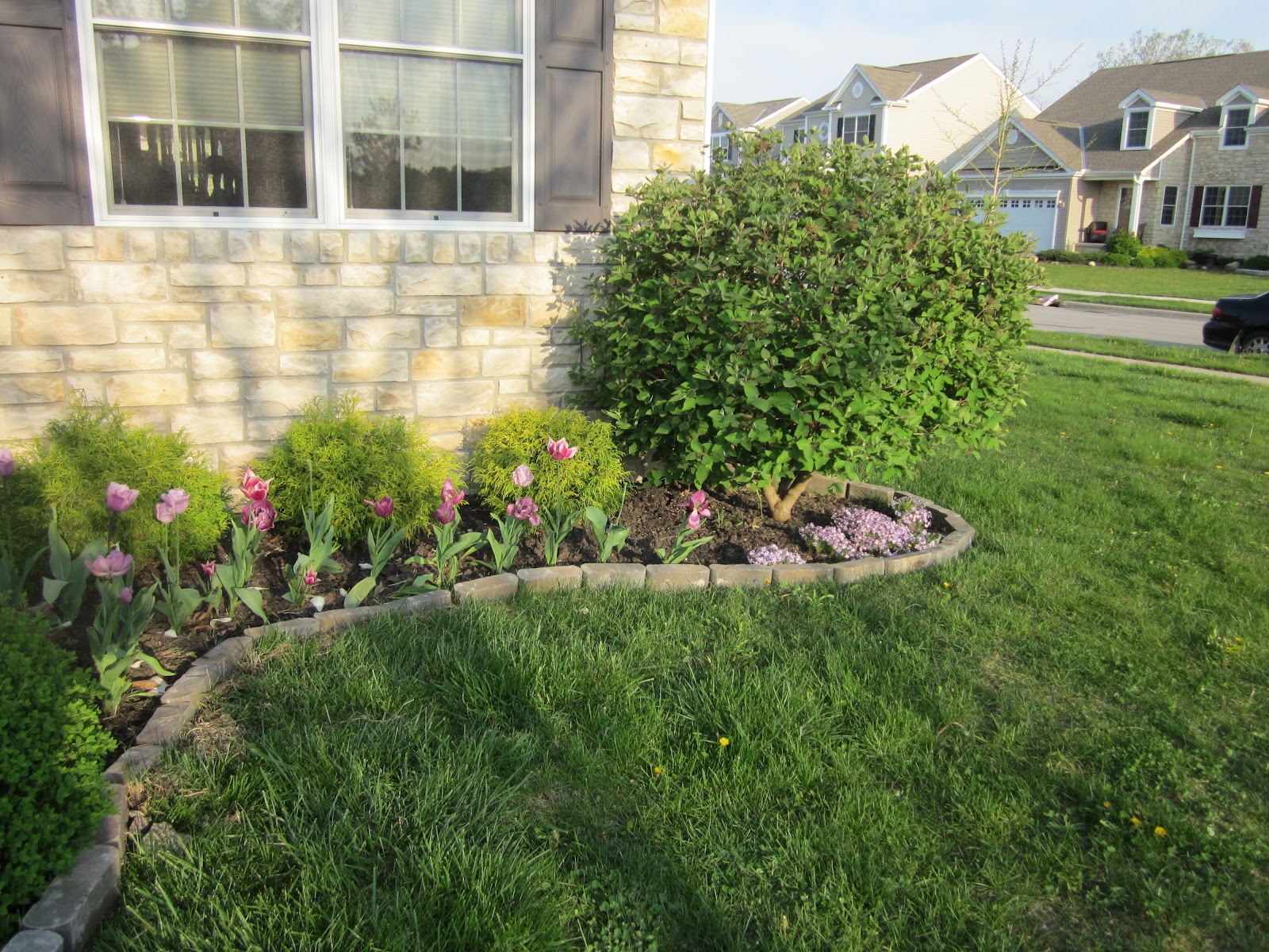 Whatcher Studios: Landscaping Practice