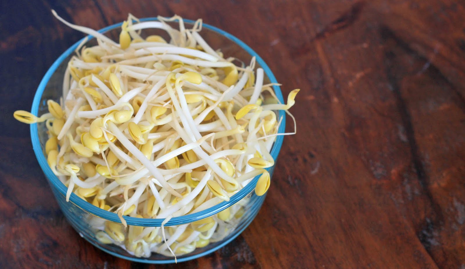 Khong Namool Seasoned Soybean Sprouts Girl Cooks World