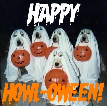 Image result for howl-o-ween
