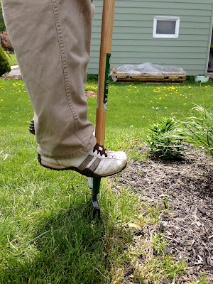 Eclectified Living: How to Edge a Garden Bed