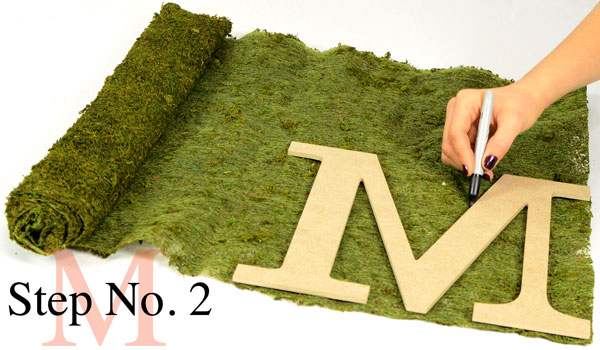 Decorative Letters, Moss Sheet, Tutorials, Moss Crafts, Natural Decor Crafts