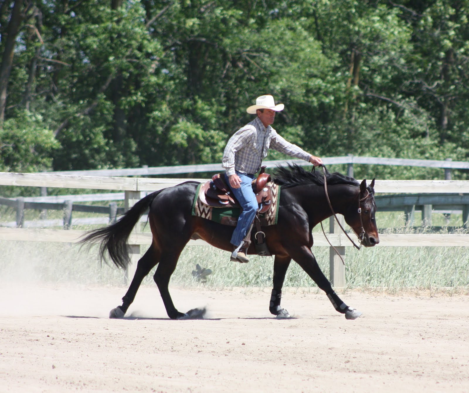 Thimbles, Bobbins, Paper and Ink Western Reining Competition The