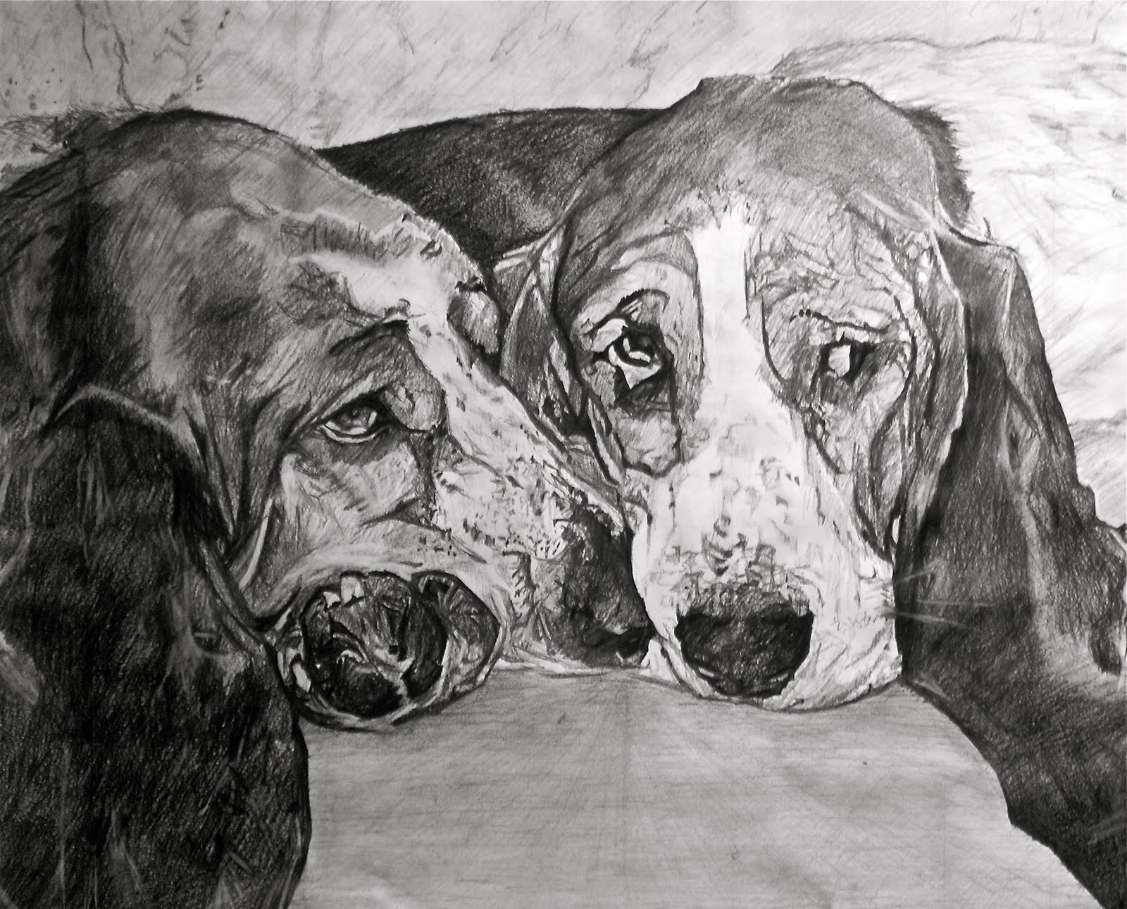 Basset Buddies Rescue.
