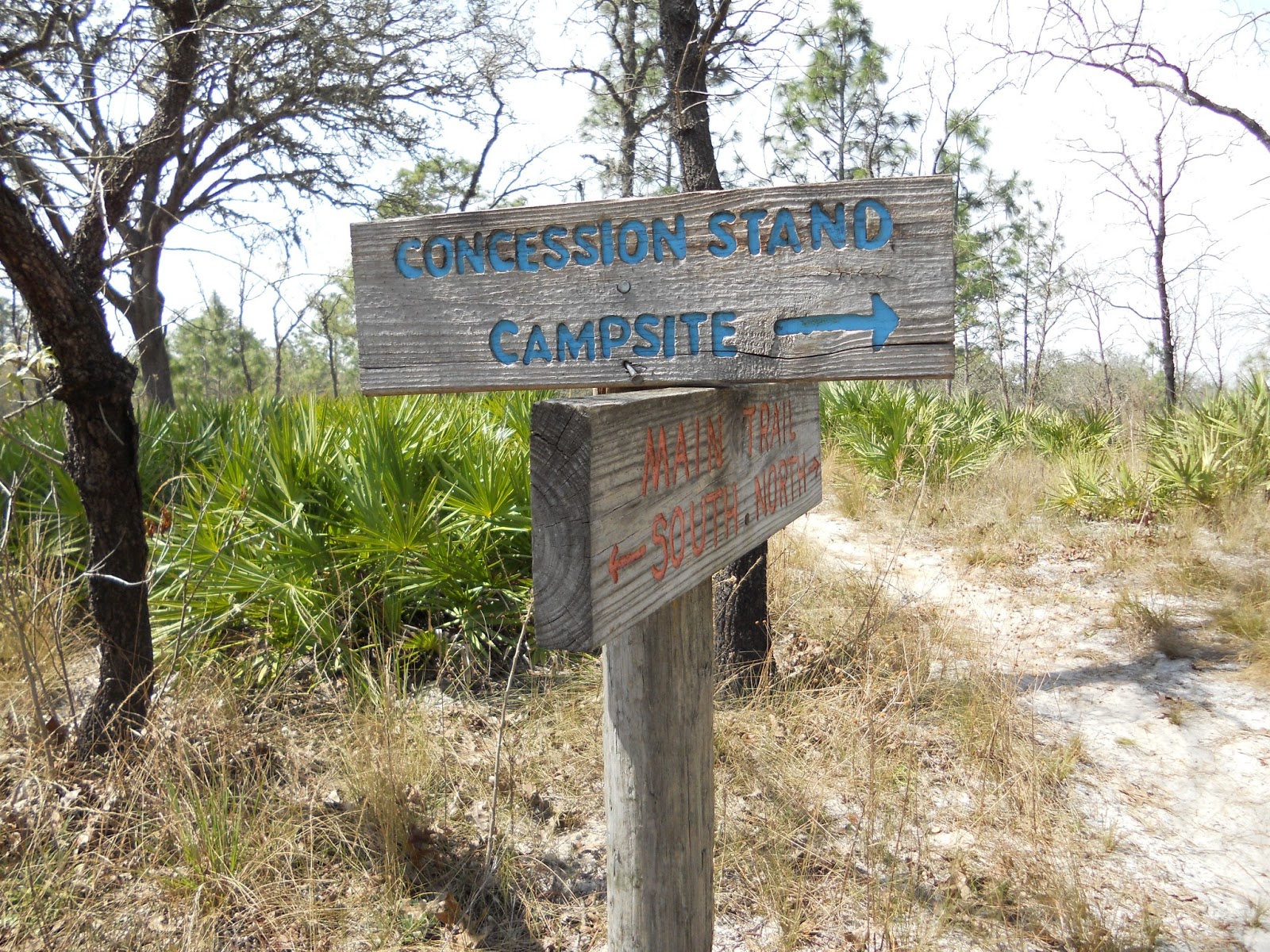 Lite Packer Green Swamp Wilderness Preserve Camping Trip