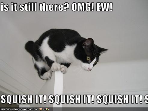 Funny Scared Pictures