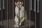 monkey-lab-escape.jpg