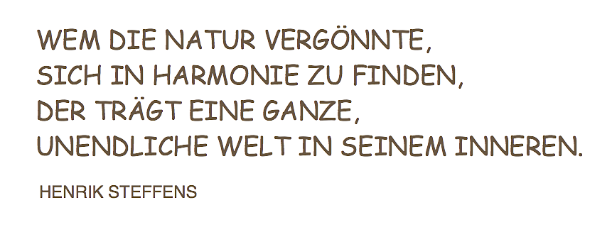 Schmetterlingskarten In Weiss Gold Elchi S World Of Books Crafts