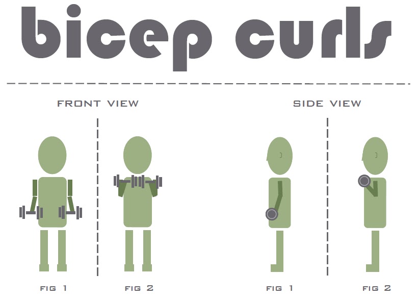 weight lifting diagrams pics for gt weight lifting exercises diagrams weight lifting diagrams pics for gt weight lifting exercises diagrams