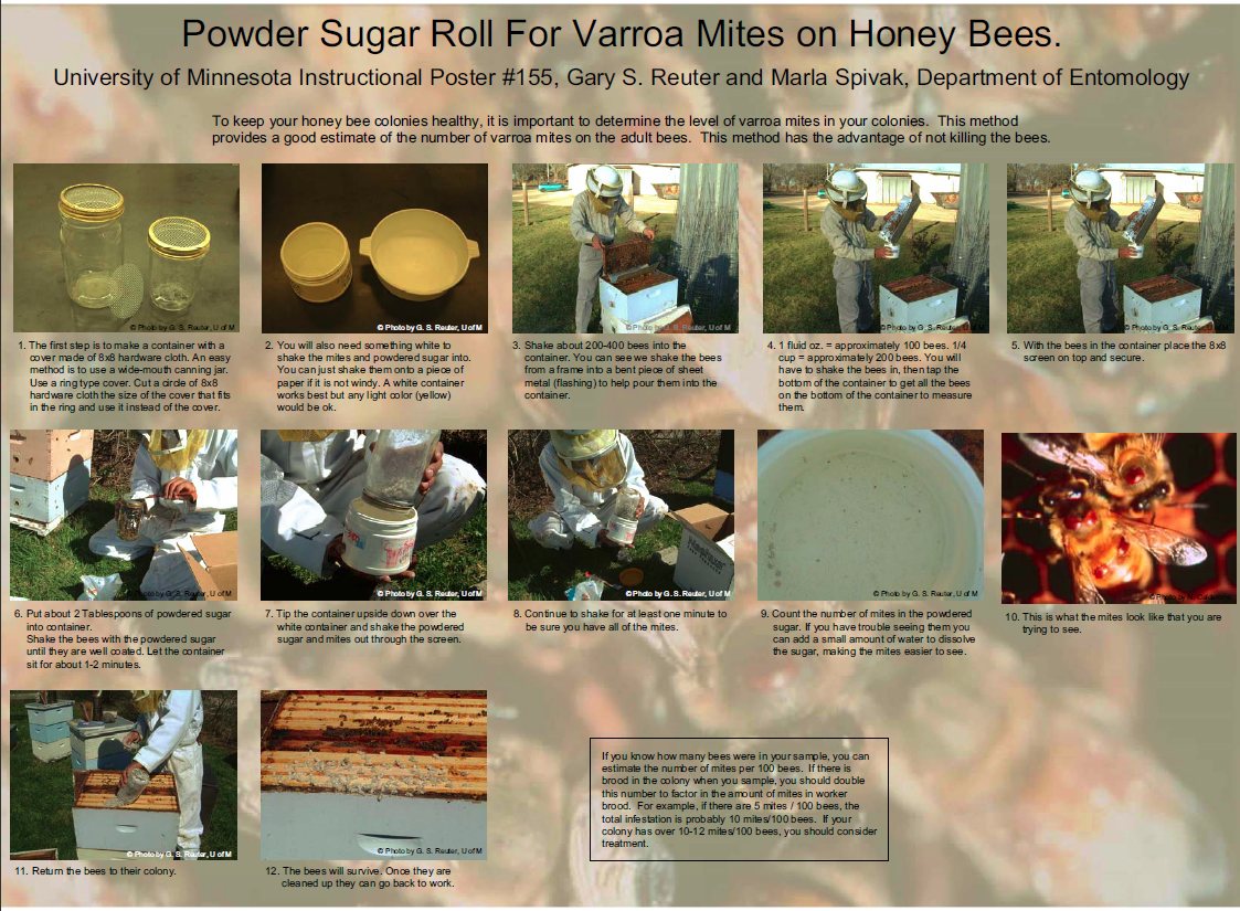 Happy Hour at the Top Bar Counting Mites Using a Powdered Sugar Roll