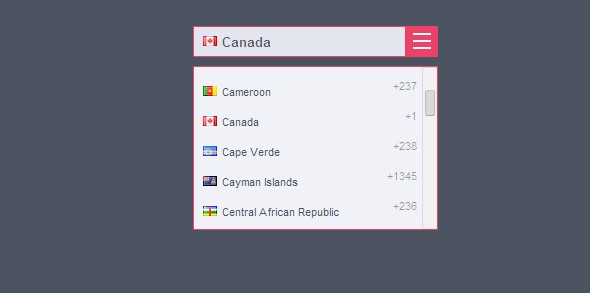 Country flag selector