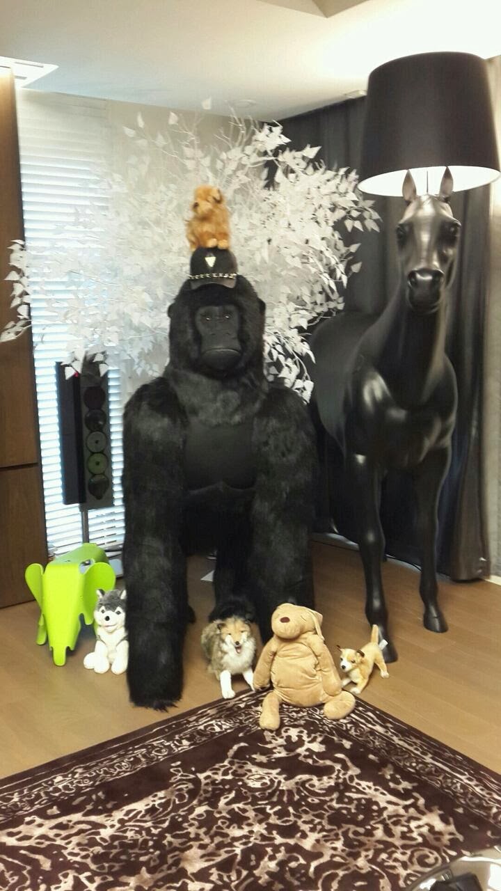 Shimlysyaoran Umma Maison Part 4 Old New