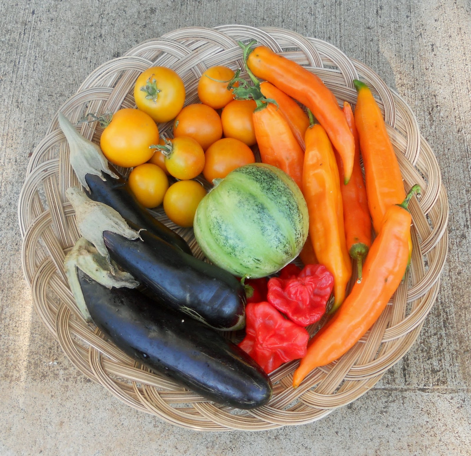 A Kitchen Garden in Kihei Maui A Kihei Garden Newsletter for May June