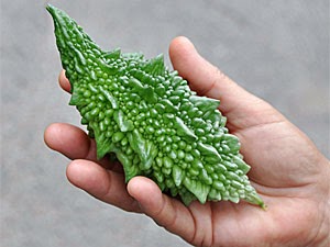 Nutritional+Benefits Nutritional+Benefits