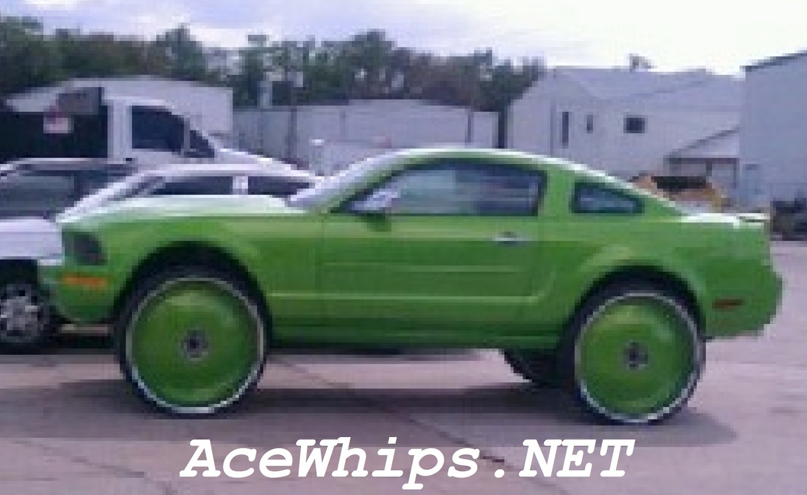 mustang on floaters