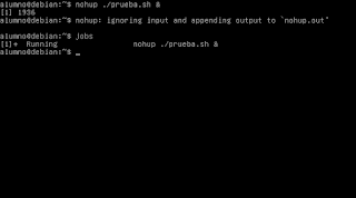 Creación, Monitoreo y Finalización de Procesos en Debian