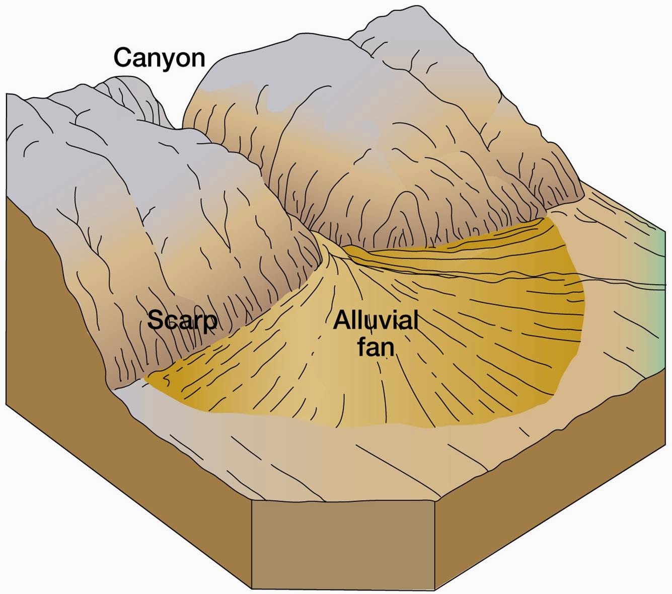 What is the difference between a delta and an alluvial fan 