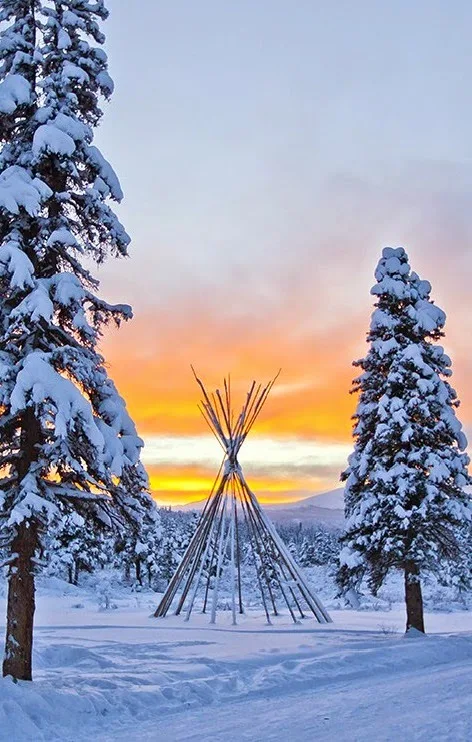 snow-covered forest and tepee in Whitehorse, Canada