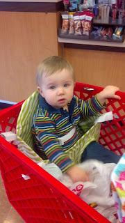 Buggy Bench Review Twin Shopping Cart Buggy Bench Review