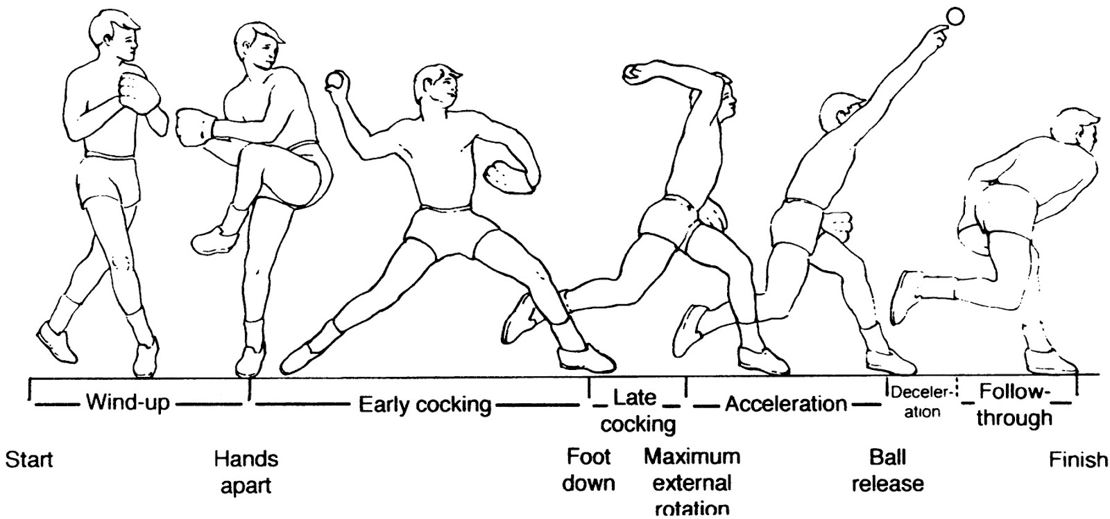 Notes from Two Scientific Psychologists Shared neural resources for