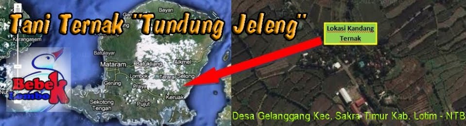 Tani Ternak "TUNDUNG JELENG"