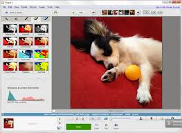 Picasa Photo Organizer 3.9.0 Picasa Photo Organizer 3.9.0