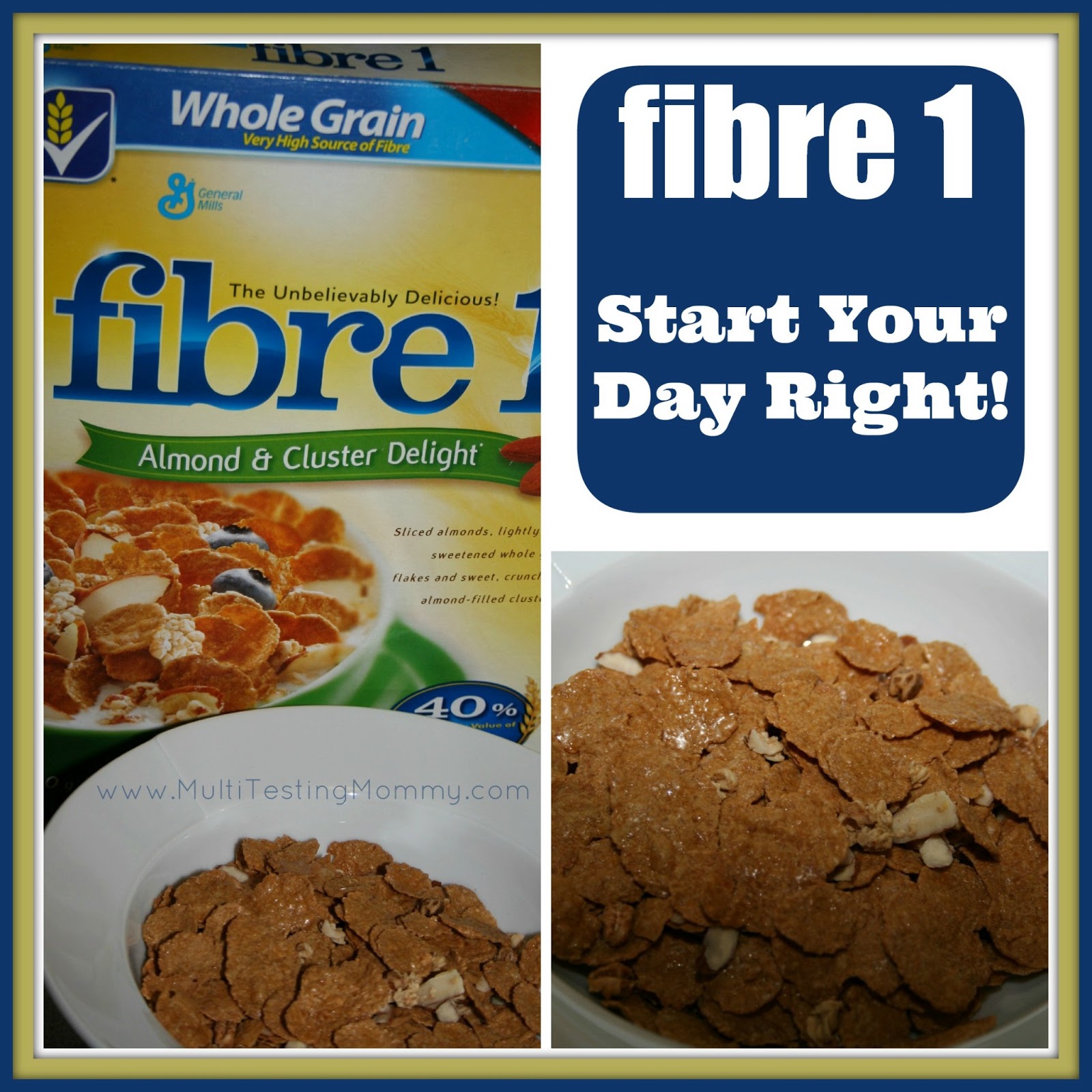 fibre 1 fibre 1
