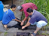 LATIHAN PRAKTIKAL JANGKA PENDEK