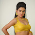 36 Hot South Indian Actress in Saree