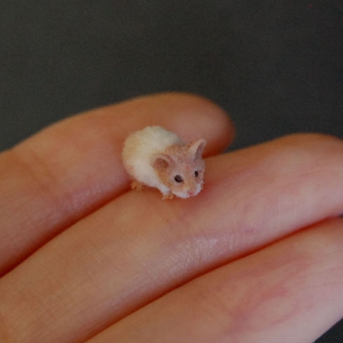 27-Hamster-ReveMiniatures-Miniature-Animal-Sculptures-that-fit-on-your-Hand-www-designstack-co