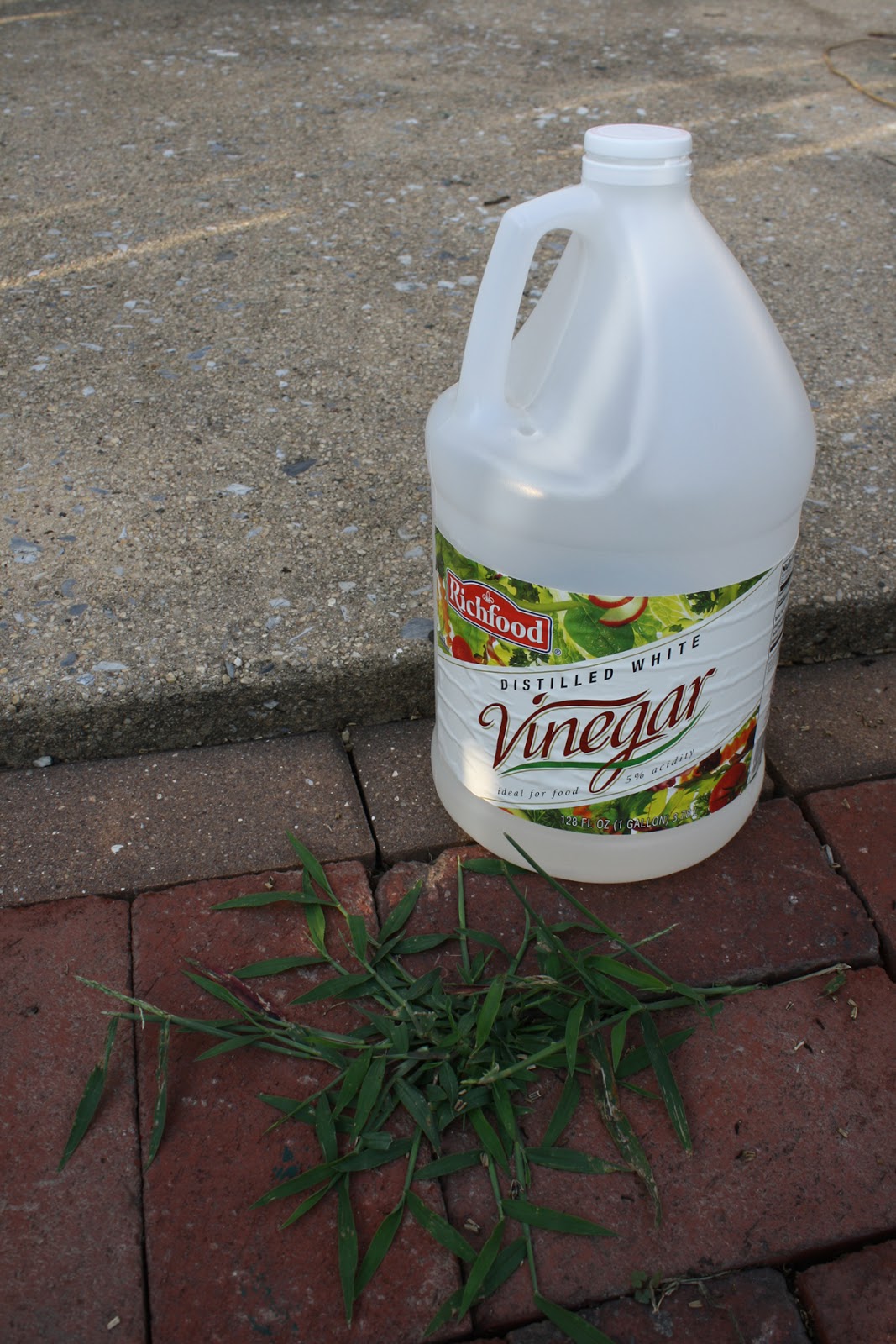 GP.Energy Get rid of weeds without using chemicals.