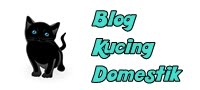Blog Kucing Domestik