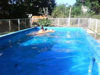 The pool in summer